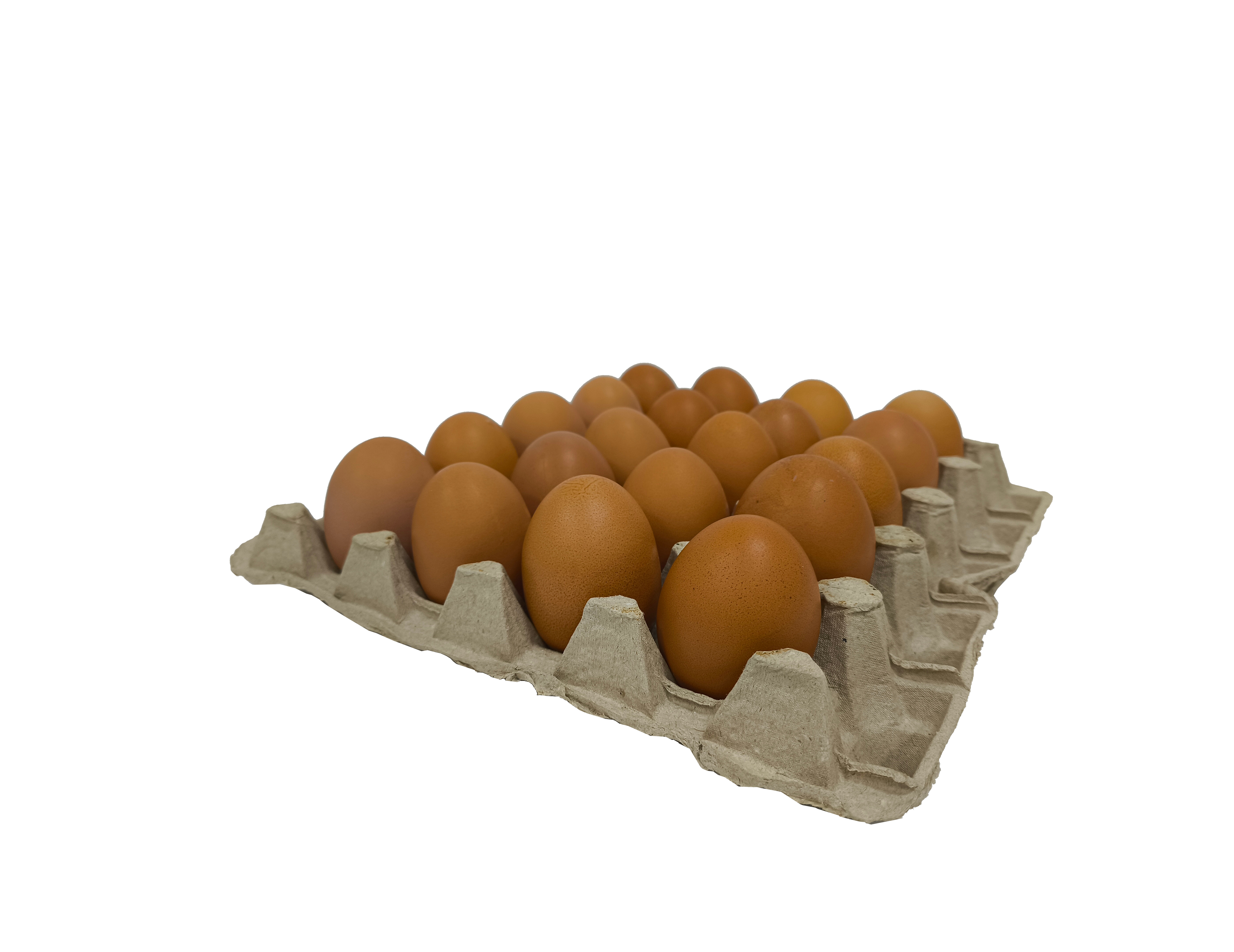 Яйцо Богатырь